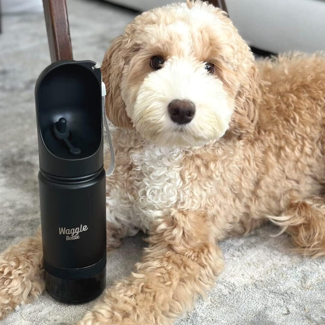 Botella de Agua de Viaje para Perros