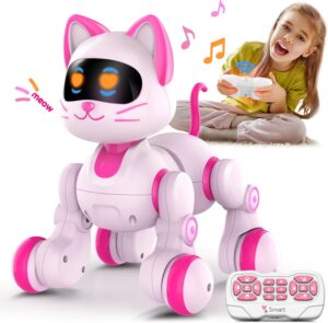 gato robot juguete