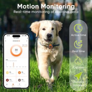 Rastreador gps gato perro