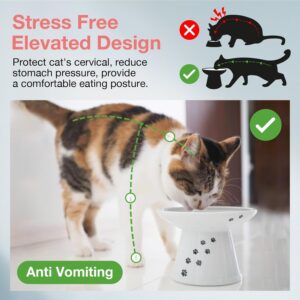 Cuencos Elevados para Gatos