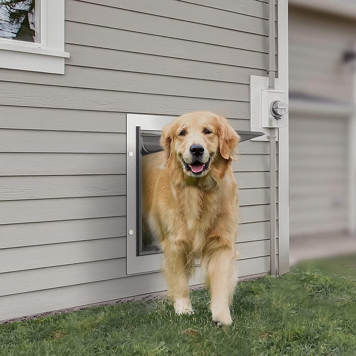 Puerta para Mascotas