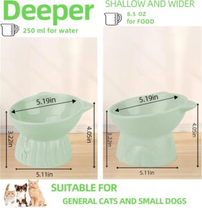 Cuencos Elevados para Gatos