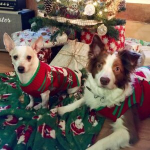 Suéter Navideño para Perros 