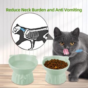 Cuencos Elevados para Gatos