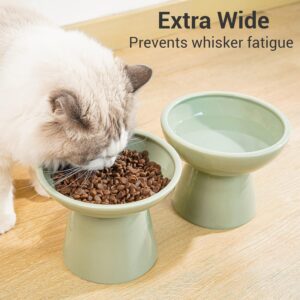Cuencos Elevados para Gatos