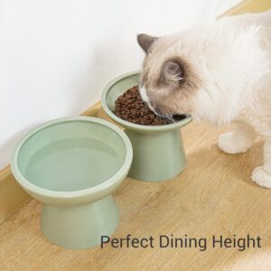 Cuencos Elevados para Gatos