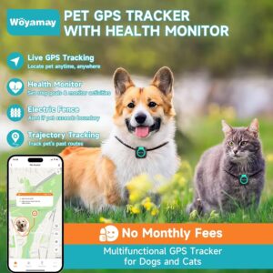 Rastreador gps gato perro